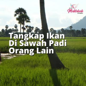 #186 Tangkap Ikan Di Sawah Padi Orang Lain