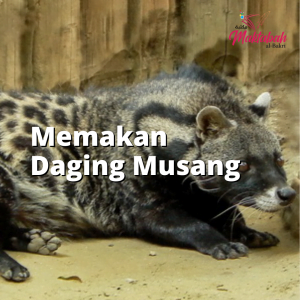 #349 Memakan Daging Musang