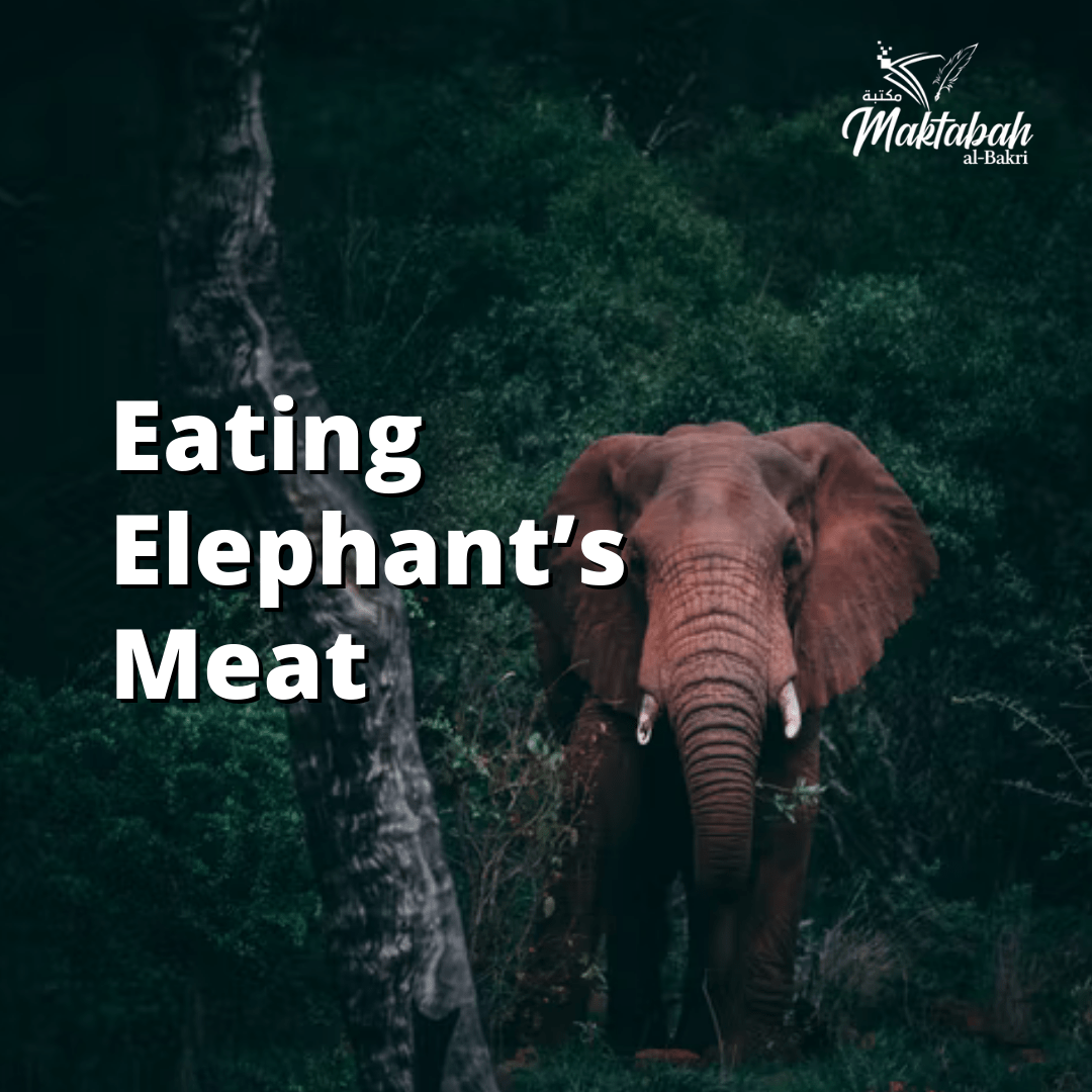 #319: Eating Elephant’s Meat - Maktabah al Bakri