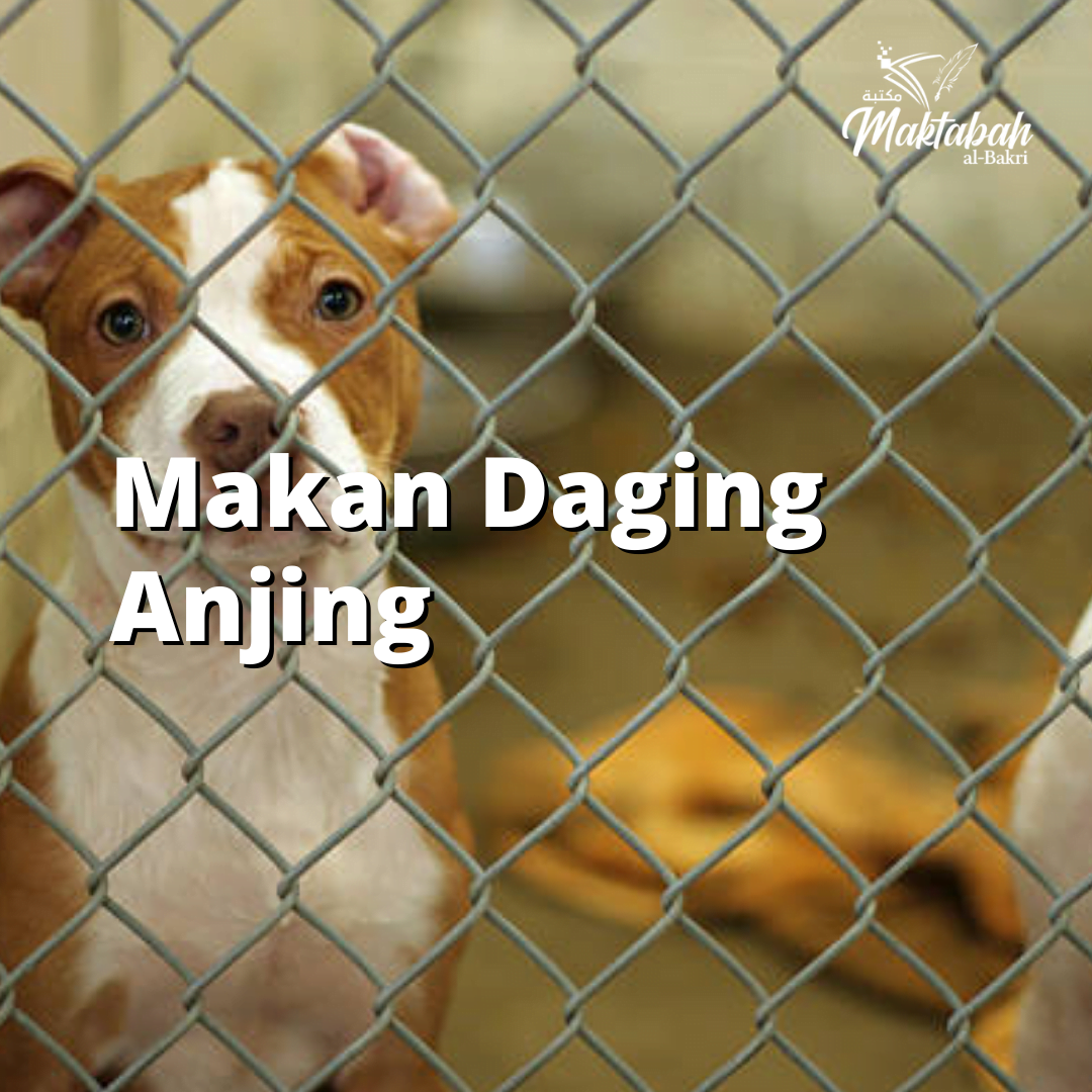 Daging Anjing Maktabah Al Bakri