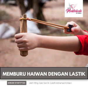 #2449: Memburu Haiwan dengan Lastik