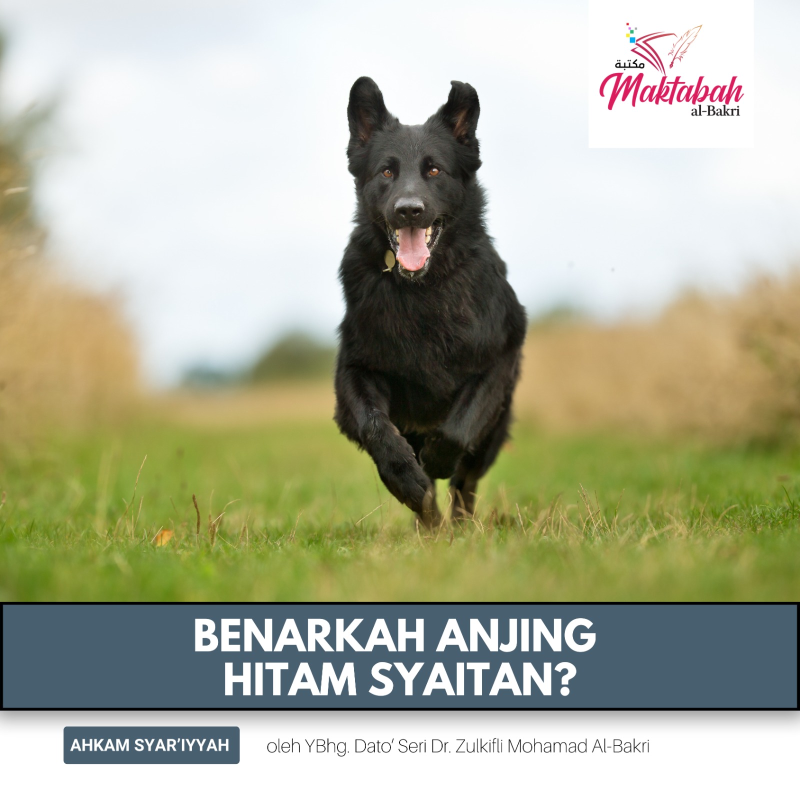 #3734: Benarkah Anjing Hitam Syaitan?