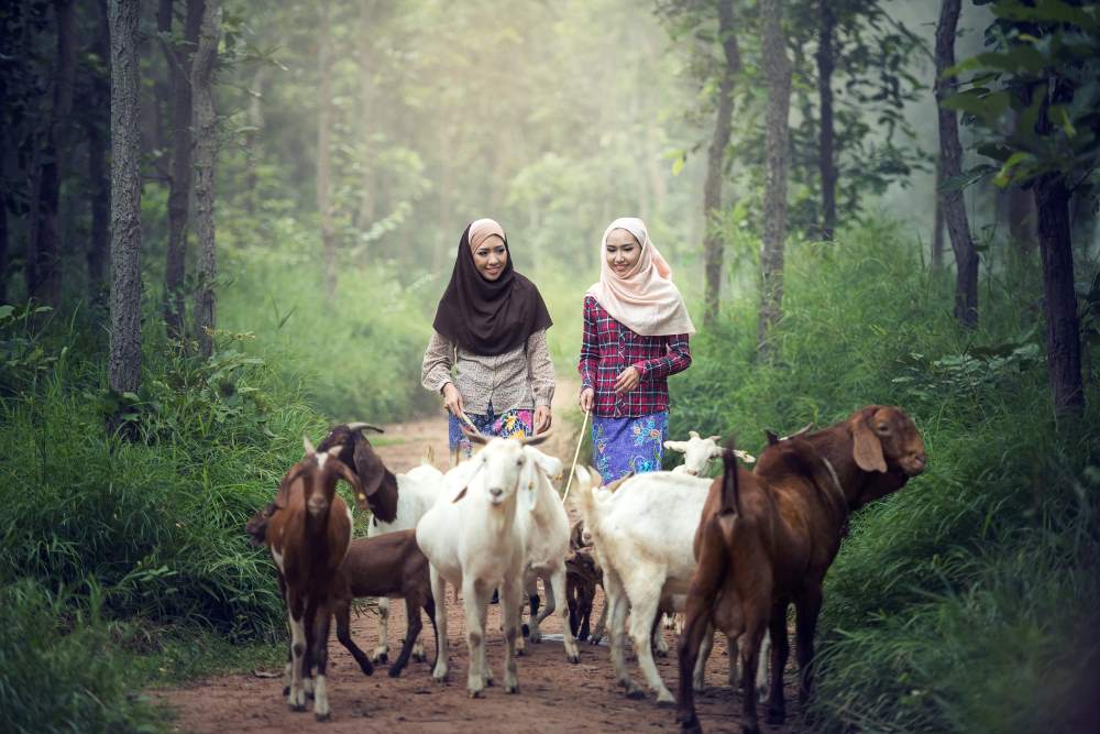 #4847: Perempuan atau Hamba Perempuan Menyembelih